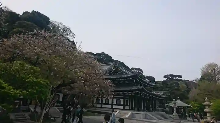 長谷寺のその他建物