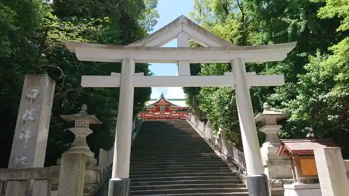 日枝神社の鳥居