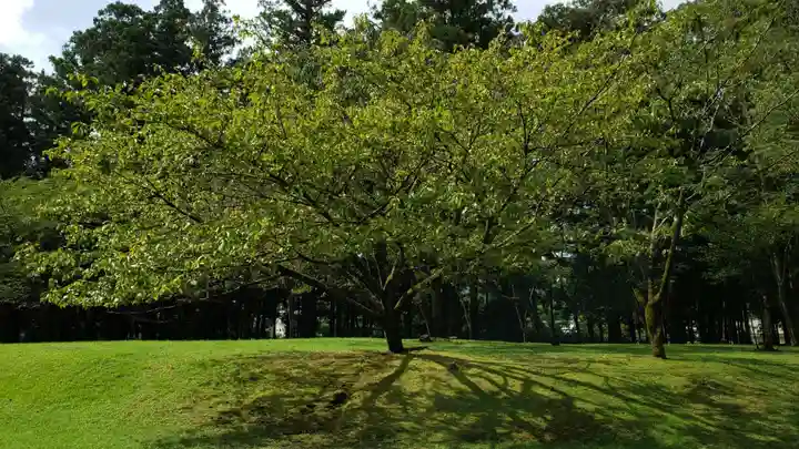 大斎原(熊野本宮大社旧社地)のその他建物