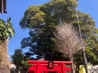 中原稲荷神社(神奈川県)