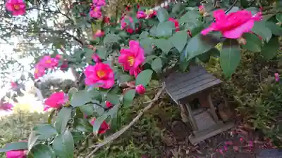 伊勢神社の末社・摂社