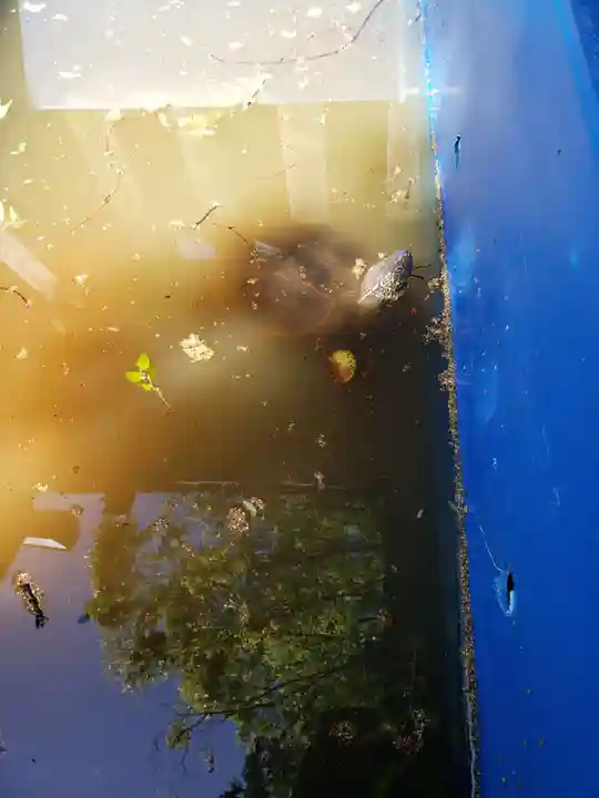 下谷神社(東京都)