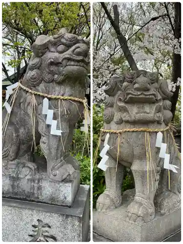 堀越神社の狛犬