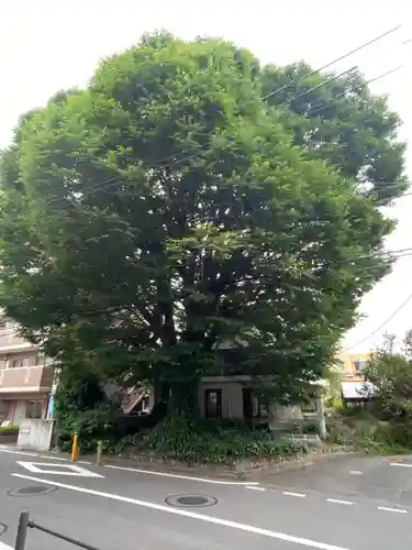 小野神社(東京都)