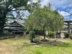 勝手神社の自然