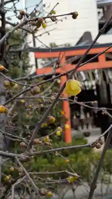 雲林院(京都府)