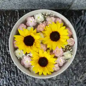 帯廣神社の手水舎(2024年07月03日(水) 15時56分40秒投稿)