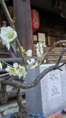 行願寺（革堂）(京都府)