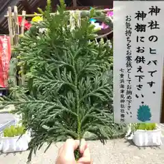 七重浜海津見神社(北海道)