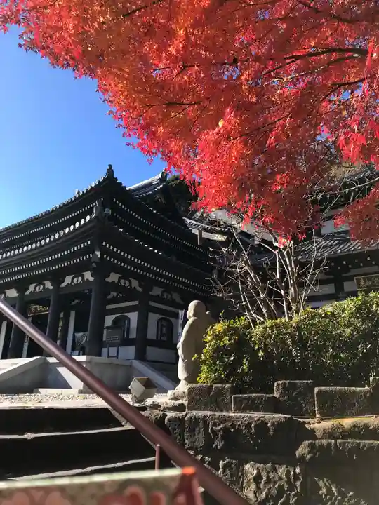 長谷寺の本殿・本堂