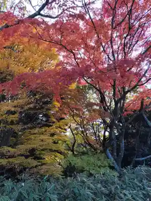 忉利天上寺(兵庫県)