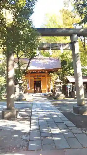 仲町氷川神社の鳥居