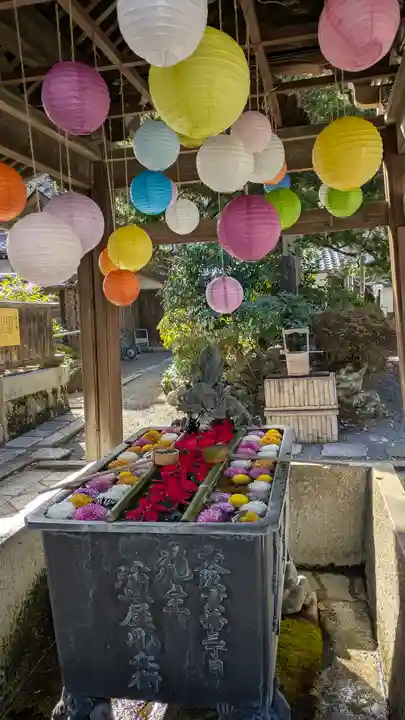 柳谷観音 楊谷寺(京都府)