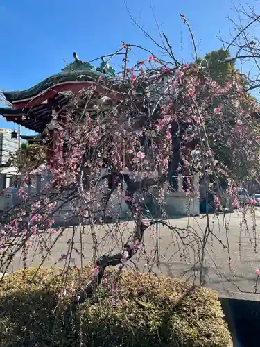 木場 洲﨑神社(東京都)