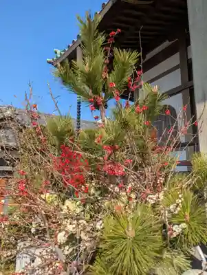 正法院(神奈川県)