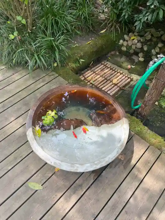 明月院の{uncategorized: "未分類", other: "その他", undefined: "問題あり", building: "その他建物", grave: "お墓", sacred_gate: "鳥居", guardian: "狛犬", statue: "像", buddha: "仏像", history: "歴史", nature: "自然", garden: "庭園", animal: "動物", pagoda: "塔", temizu: "手水舎", mountain_gate: "山門・神門", sanctuary: "本殿・本堂", subordinate: "末社・摂社", art: "芸術", scenery: "景色", jizo: "地蔵", ema: "絵馬", goshuin: "御朱印", omikuji: "おみくじ", items: "授与品その他", amulet: "お守り", goshuincho: "御朱印帳", eats: "食事", festival: "お祭り", votive_dance: "神楽", shichigosan: "七五三参", wedding: "結婚式", experience: "体験その他", initially: "初詣", around: "周辺", anti_infection: "感染症対策"}