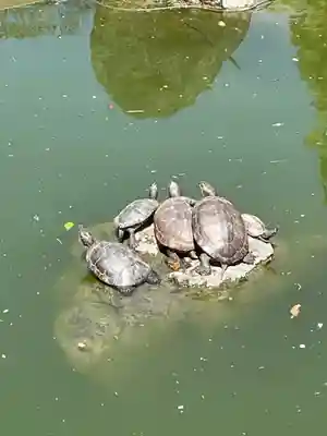 亀戸天神社(東京都)