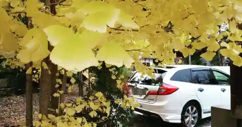 稗田野神社(薭田野神社)の自然