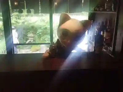 猫猫寺(京都府)