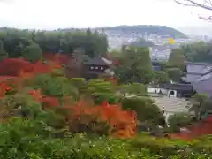 慈照寺（慈照禅寺・銀閣寺）の自然