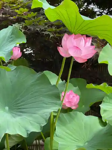 梅香寺(三重県)