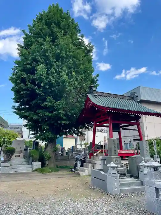 光照寺(栃木県)