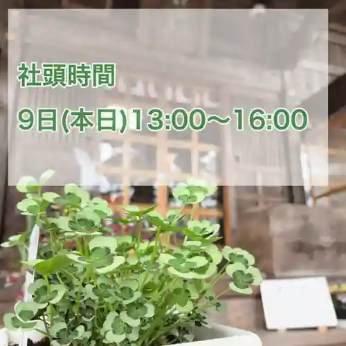 高司神社〜むすびの神の鎮まる社〜(福島県)