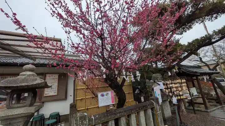 阿久刀神社(大阪府)