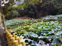 御髪神社の周辺