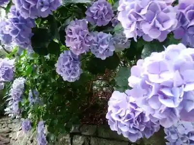 久能山東照宮(静岡県)