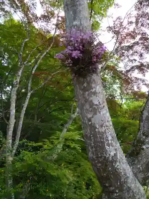 国宝 長寿寺(滋賀県)