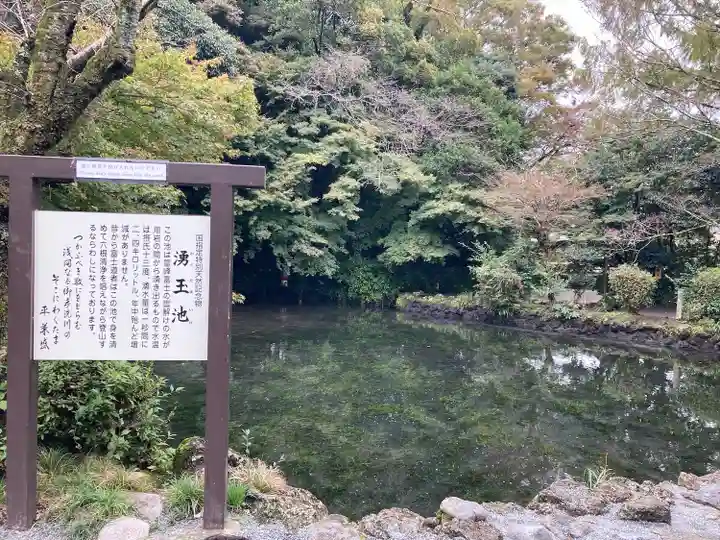富士山本宮浅間大社(静岡県)