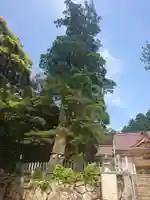 彌美神社の自然