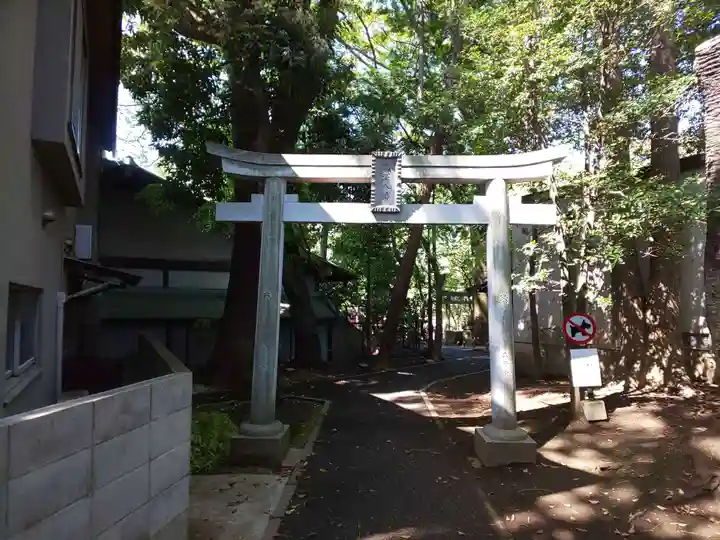 北澤八幡神社の鳥居