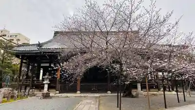 本法寺(京都府)