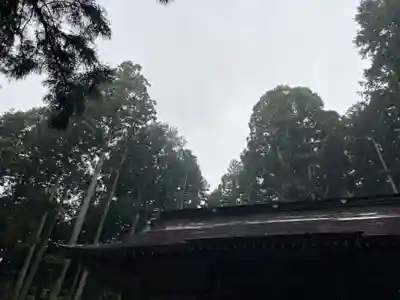大宮温泉神社(栃木県)