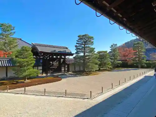 天龍寺の庭園