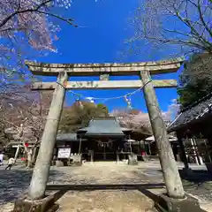 賀茂別雷神社の鳥居