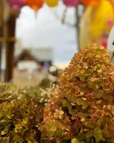 札幌諏訪神社の手水舎