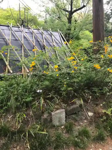 浄智寺の庭園