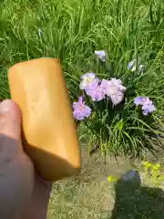 知立神社の自然