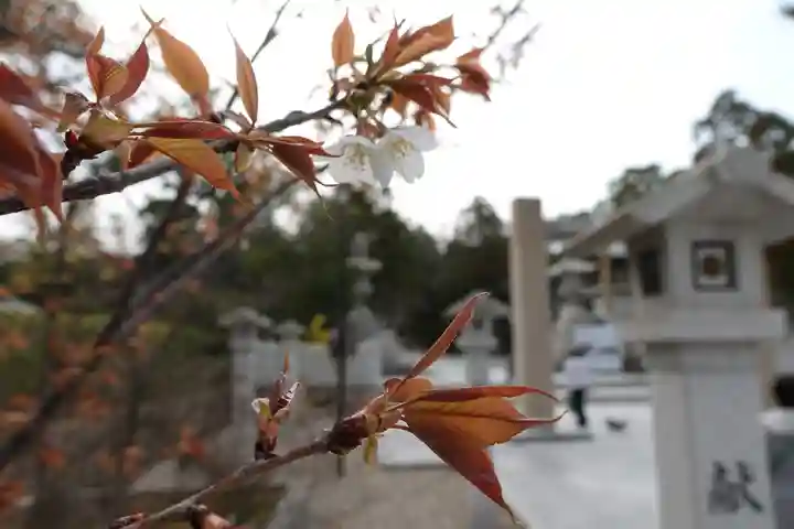 廣田神社の自然