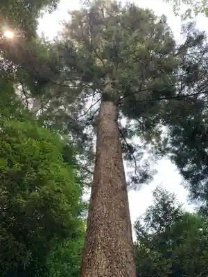 賀茂神社(群馬県)