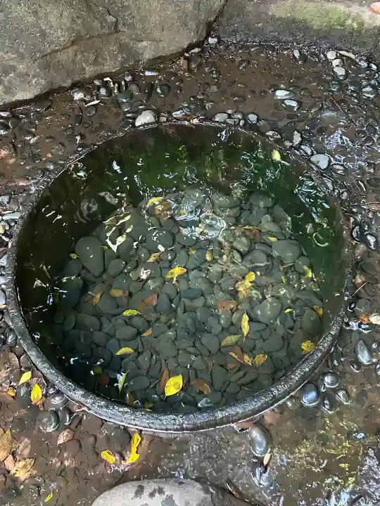 明治神宮(東京都)