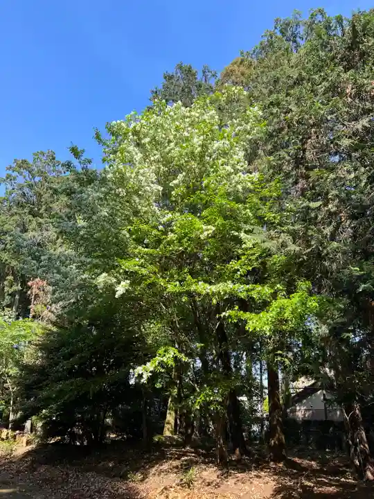 手力雄神社(岐阜県)