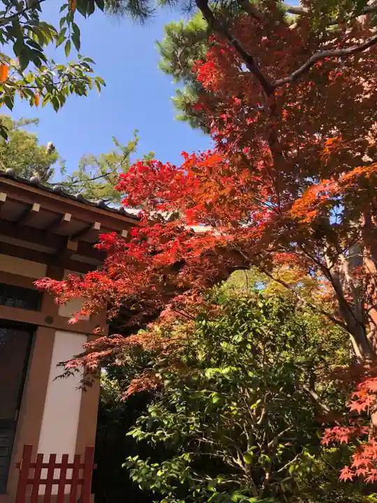 正覚院(東京都)