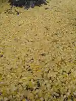 慈徳院(愛知県)