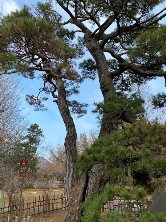 滑河山龍正院の自然