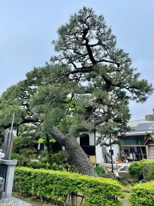 安養院(東京都)