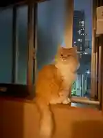 當光寺(東京都)